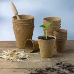8 Cm Anzuchttopf Rund Auf Holzfaser Basis | Anzuchttöpfe Von FLORTUS 9 8 Cm Anzuchttopf Rund Auf Holzfaser Basis | Anzuchttöpfe Von FLORTUS -Baum Freude Verkäufe 552303 8 cm Anzuchttopf rund auf Holzfaser Basis 30 Stueck 2000 0595 5