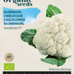 Blumenkohl Goodman | BIO Blumenkohlsamen Von Buzzy Seeds