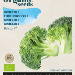 Broccoli Belstar F1 | BIO Brokkolisamen Von Buzzy Seeds