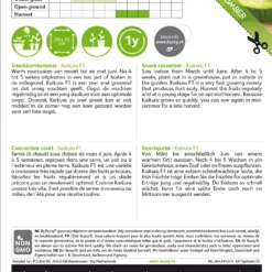 Gurken Snack Kaikura F1 | Gurkensamen Von Buzzy Seeds