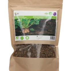 Futter Rüben Brigadier (250 G) | Runkelrüben- &amp; Futterrübensamen Von Buzzy Seeds