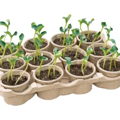 Eco Topfplatte (12 Töpfe) | Anzuchtschalen Von Sogo