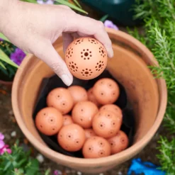 Kugeln Zur Wasserspeicherung (16 Stück) | Bewässerungskugeln Von Clever Pots -Baum Freude Verkäufe 553496 Kugeln zum Speichern von Wasser 16 Stueck 445498 kp 5