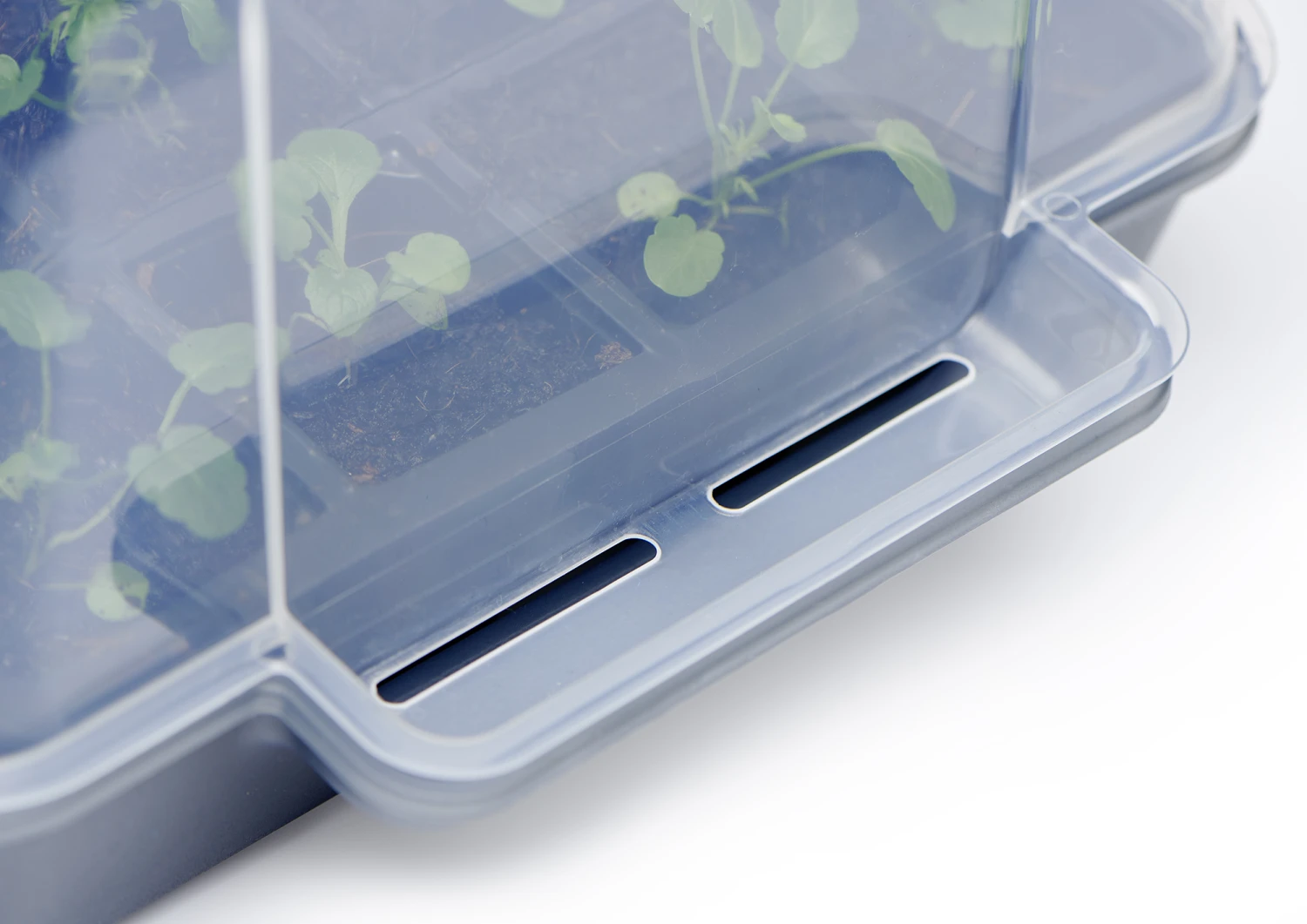 Anzucht-Gewächshaus Easy Water Haube | Anzuchthauben Von Clever Pots 3 Anzucht-Gewächshaus Easy Water Haube | Anzuchthauben Von Clever Pots – Bild 3