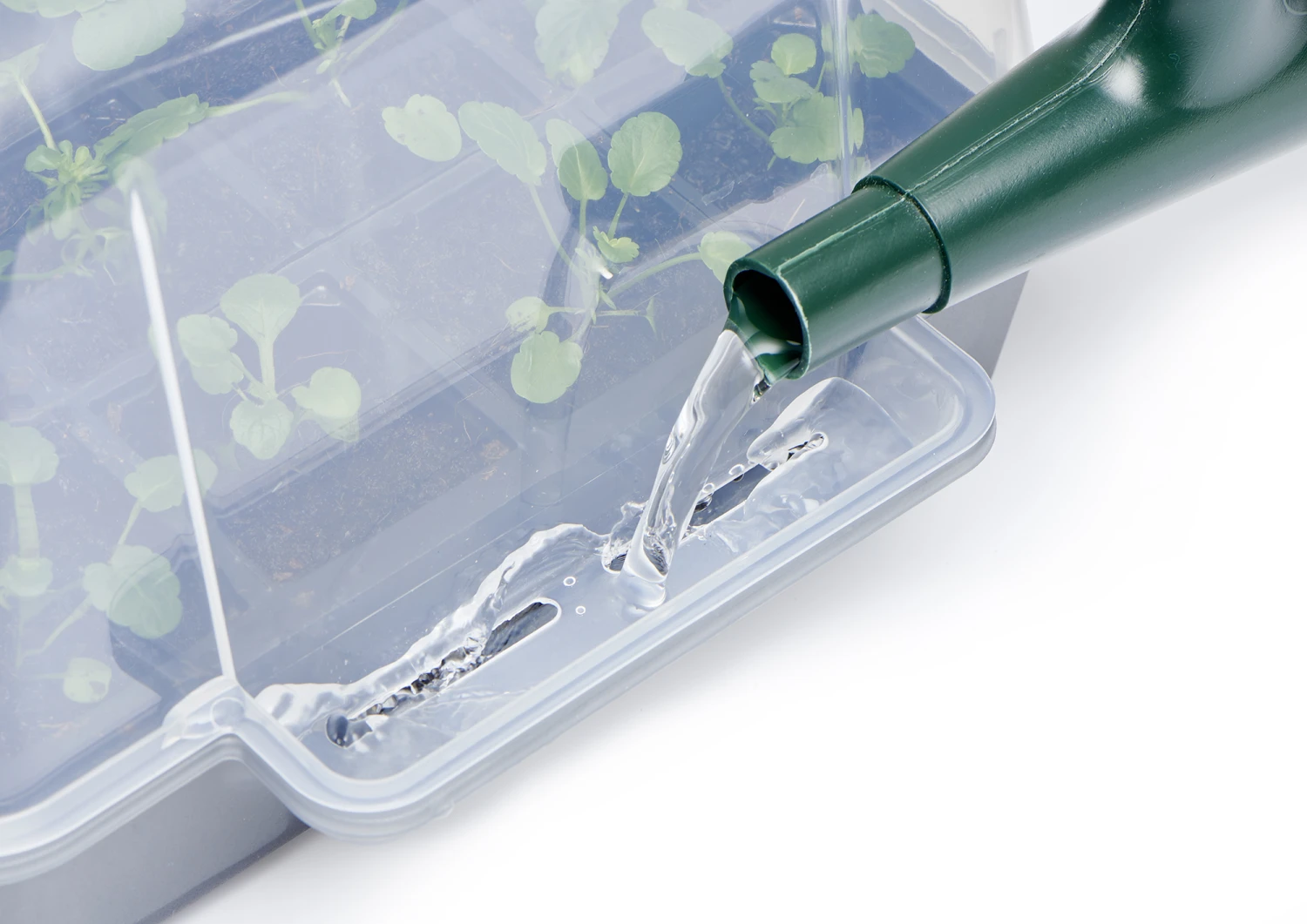 Anzucht-Gewächshaus Easy Water Haube | Anzuchthauben Von Clever Pots 6 Anzucht-Gewächshaus Easy Water Haube | Anzuchthauben Von Clever Pots – Bild 6