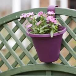 Hängeblumentopf Pink | Blumentöpfe Von Clever Pots -Baum Freude Verkäufe 553529 Haengeblumentopf Orchid 1 Stueck 519760 kp 5