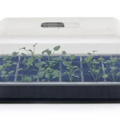 Anzucht-Gewächshaus Easy Water | Zimmergewächshaus Von Clever Pots -Baum Freude Verkäufe 553911 Gewaechshaus Easy Water 050 0017 1