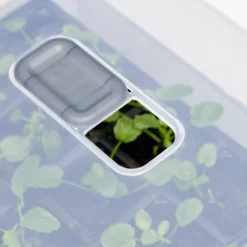 Anzucht-Gewächshaus Easy Water | Zimmergewächshaus Von Clever Pots -Baum Freude Verkäufe 553911 Gewaechshaus Easy Water 050 0017 4