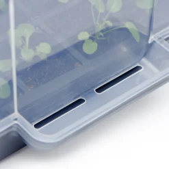 Anzucht-Gewächshaus Easy Water | Zimmergewächshaus Von Clever Pots