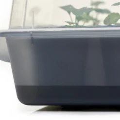 Anzucht-Gewächshaus Easy Water | Zimmergewächshaus Von Clever Pots -Baum Freude Verkäufe 553911 Gewaechshaus Easy Water 050 0017 7