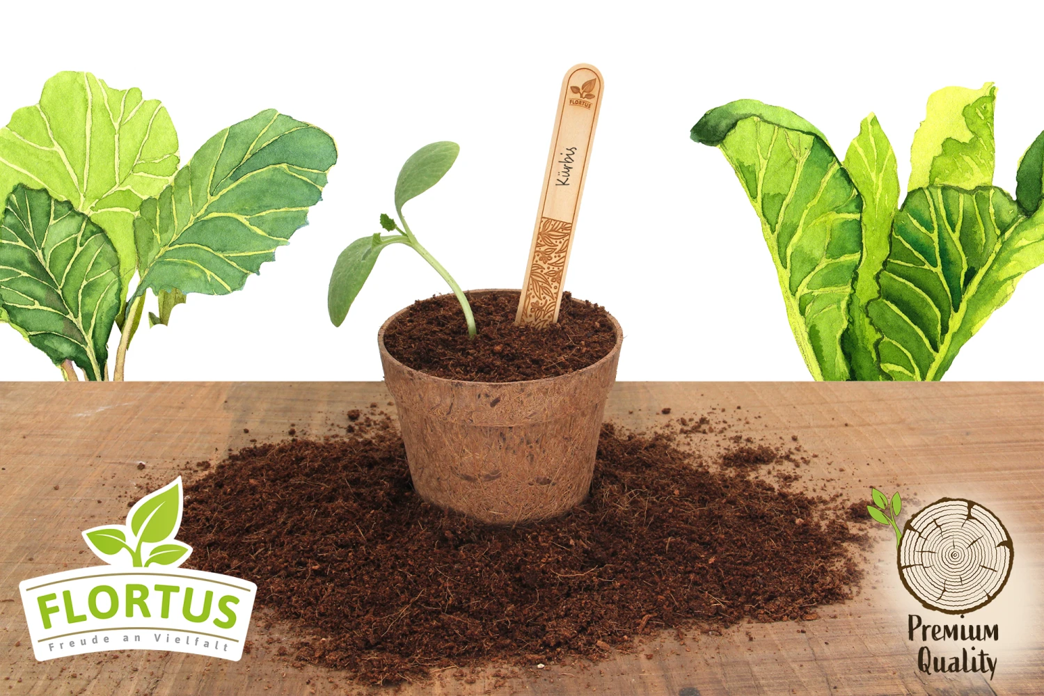 Holzstecketiketten Mit Lasergravur (10 Stück) | Pflanzenetiketten Von FLORTUS 2 Holzstecketiketten Mit Lasergravur (10 Stück) | Pflanzenetiketten Von FLORTUS – Bild 2