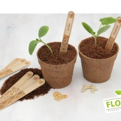 Holzstecketiketten Mit Lasergravur (10 Stück) | Pflanzenetiketten Von FLORTUS 11 Holzstecketiketten Mit Lasergravur (10 Stück) | Pflanzenetiketten Von FLORTUS -Baum Freude Verkäufe 554995 Holzstecketiketten mit Lasergravur 10 Stueck 2000 0780 5