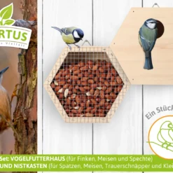 Vogelfutterhaus Und Nistkasten Set | Vogelzubehör &amp; Vogelbedarf Von FLORTUS -Baum Freude Verkäufe 555061 Vogelfutterhaus und Nistkasten Set 2000 0789 BUNDLE 1