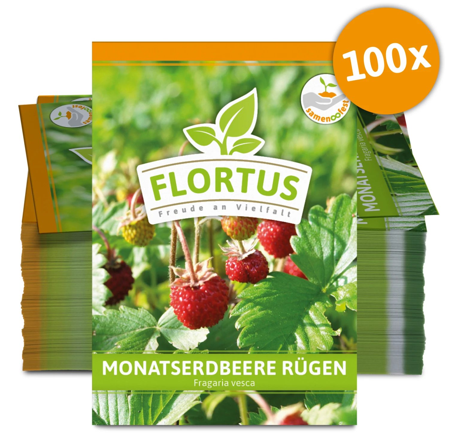 Monatserdbeere Rügen (100 Tütchen) | Erdbeersamen Von FLORTUS 1 Monatserdbeere Rügen (100 Tütchen) | Erdbeersamen Von FLORTUS