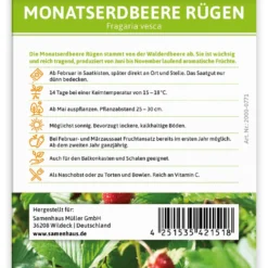 Monatserdbeere Rügen (100 Tütchen) | Erdbeersamen Von FLORTUS 5 Monatserdbeere Rügen (100 Tütchen) | Erdbeersamen Von FLORTUS -Baum Freude Verkäufe 555104 Monatserdbeere Ruegen 100 Tuetchen 2000 0771 100x 2