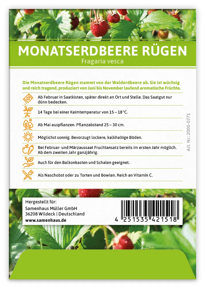 Monatserdbeere Rügen (100 Tütchen) | Erdbeersamen Von FLORTUS 3 Monatserdbeere Rügen (100 Tütchen) | Erdbeersamen Von FLORTUS – Bild 3