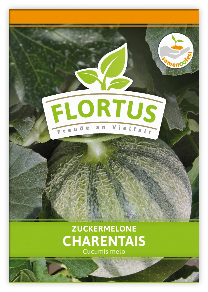 Zuckermelone Charentaise (100 Tütchen) | Zuckermelonensamen Von FLORTUS 1 Zuckermelone Charentaise (100 Tütchen) | Zuckermelonensamen Von FLORTUS