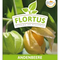 Andenbeere (100 Tütchen) | Andenbeerensamen Von FLORTUS