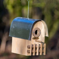 Nistkasten Rundhaus Bernstein | Vogelhäuser Von Dobar -Baum Freude Verkäufe 555831 Nistkasten Rundhaus Bernstein 22513FSCe dr 3