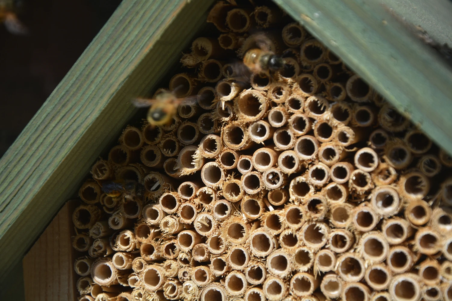 Insektenhotel Mit Grünem Spitzdach | Insektenhotels Von Dobar 2 Insektenhotel Mit Grünem Spitzdach | Insektenhotels Von Dobar – Bild 2