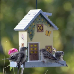 Vogelhaus Summer | Vogelhäuser Von Dobar -Baum Freude Verkäufe 555835 Vogelhaus Summer 25119FSC dr 4