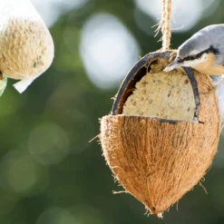 Futterglocke Erdnuss &amp; Protein | Vogelfutter Von Dobar -Baum Freude Verkäufe 555837 Futterglocke Erdnuss und Protein 24100e dr 5