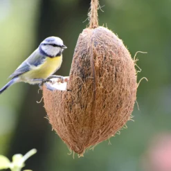 Futterglocke Erdnuss &amp; Protein | Vogelfutter Von Dobar -Baum Freude Verkäufe 555837 Futterglocke Erdnuss und Protein 24100e dr 6
