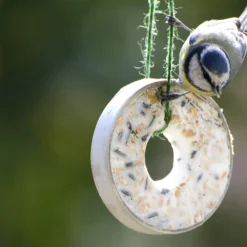 Futterglocke Erdnuss &amp; Protein | Vogelfutter Von Dobar -Baum Freude Verkäufe 555837 Futterglocke Erdnuss und Protein 24100e dr 7