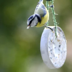 Futterglocke Erdnuss &amp; Protein | Vogelfutter Von Dobar -Baum Freude Verkäufe 555837 Futterglocke Erdnuss und Protein 24100e dr 8