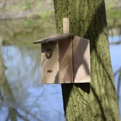 Beobachtungs Nistkasten Einblick | Vogelhäuser Von Dobar -Baum Freude Verkäufe 555838 Beobachtungs Nistkasten Einblick 22415e dr 1