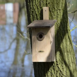 Beobachtungs Nistkasten Einblick | Vogelhäuser Von Dobar