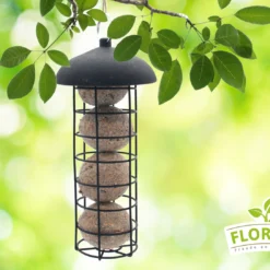 Meisenknödel Im Eimer Mit Futterspender (30 Stück) | Meisenknödel Von FLORTUS -Baum Freude Verkäufe 556010 Meisenknoedel im Eimer mit Futterspender 30 Stueck 2000 0874 4 1