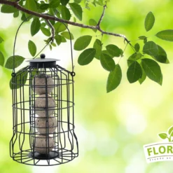 Futterspender Mit Meisenknödel (4 Stück) | Meisenknödel Von FLORTUS -Baum Freude Verkäufe 556011 Futterspender mit Meisenknoedel 4 Stueck 2000 0875 4 1