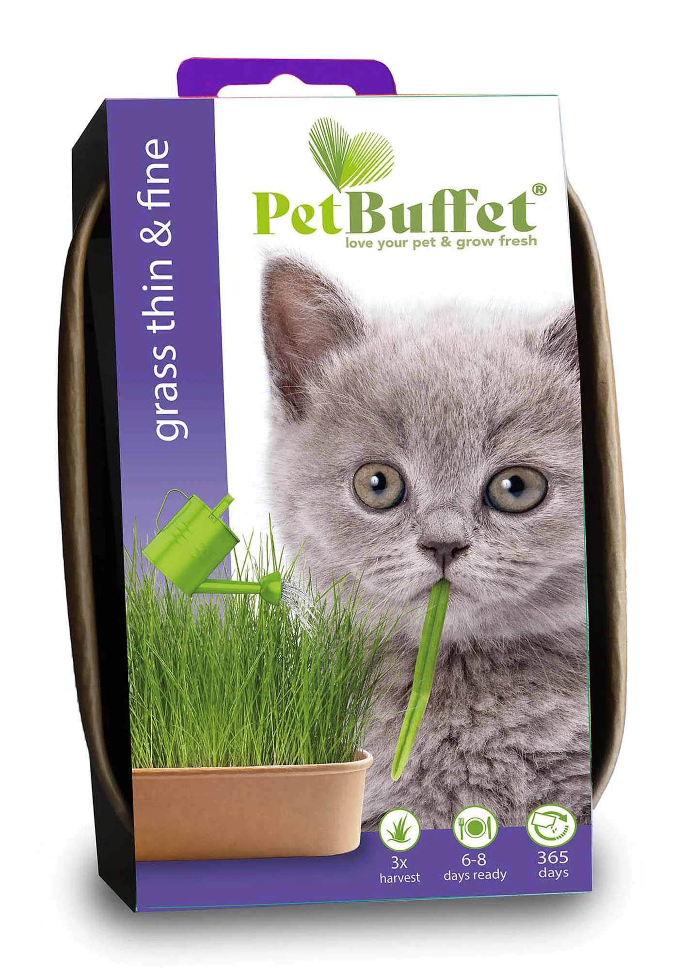 Pet-Buffet Katzengras Thin & Fine (3 Tütchen) | Katzen Von Baza 2 Pet-Buffet Katzengras Thin & Fine (3 Tütchen) | Katzen Von Baza – Bild 2