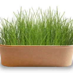 Pet-Buffet Zimmervögel Avis (3 Tütchen) | Vogelzubehör &amp; Vogelbedarf Von Baza