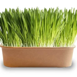 Pet-Buffet Kaninchen Gourmet (3 Tütchen) | Kaninchen Von Baza -Baum Freude Verkäufe 556717 Pet Buffet Kaninchen gourmet 3 Tuetchen 18050540 bz 1