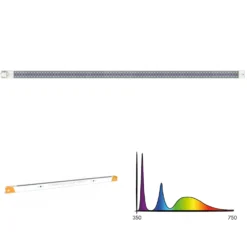 Cosmorrow Ultraviolett LED-Leuchte (40W) | LED-Bar Von Secret Jardin -Baum Freude Verkäufe 557283 Cosmorrow Ultraviolett LED Leuchte 40W 535348 Secret Jardin Cosmorrow Ultraviolett LED Leuchte 40 W 6