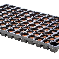 Eazy Plug Anzuchtwürfel CT104, Rund, 3,5 X 2 Cm, Tray Mit 104 St. | Anzuchttray -Baum Freude Verkäufe 557342 Eazy Plug Anzuchtwuerfel CT104 rund 3 5 x 2 cm Tray mit 104 St 534573 Eazy Plug Stecklingstrays 104 St rund klein 2