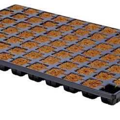 Eazy Plug Anzuchtwürfel CT77, 3,5 X 3,5 Cm, Tray Mit 77 Stk. | Anzuchttray -Baum Freude Verkäufe 557344 Eazy Plug Anzuchtwuerfel CT77 3 5 x 3 5 cm Tray mit 77 Stk 533627 Eazy Plug Anzuchtwuerfel 3 5x3 5 cm Tray mit 77 St