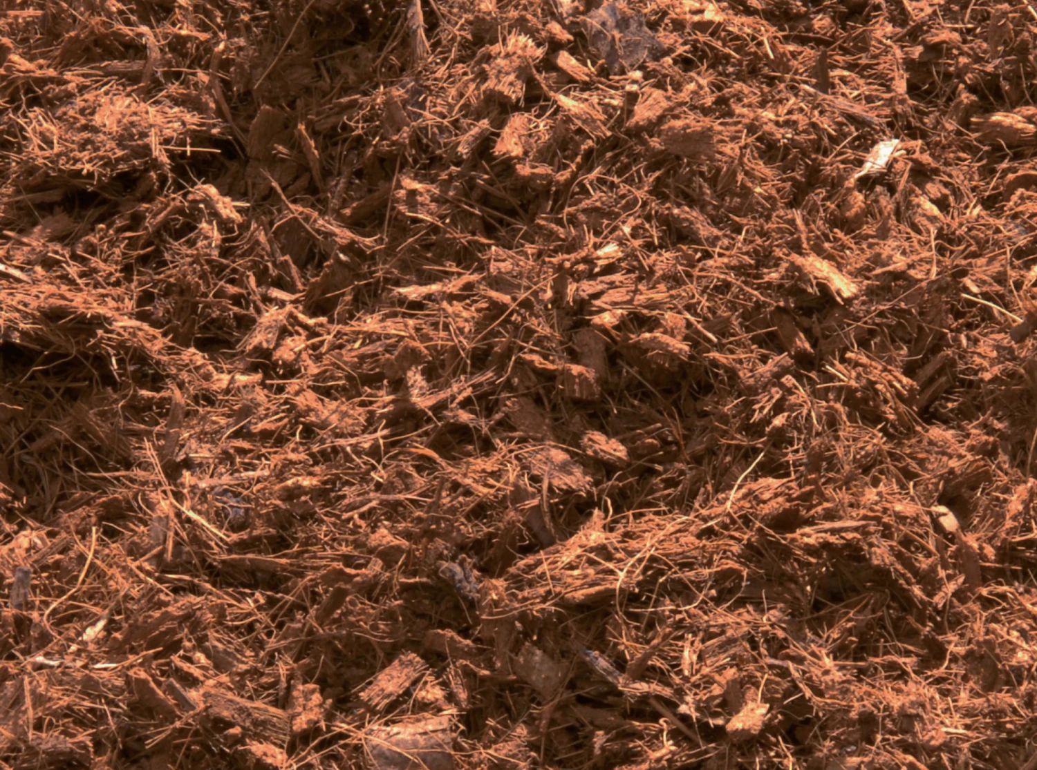 Atami Cocos Substrate, 50 L | Kokossubstrat 2 Atami Cocos Substrate, 50 L | Kokossubstrat – Bild 2