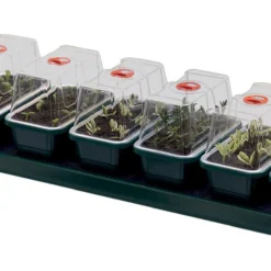 76 X 18,5 X 15 Cm Selbstbewässerungs-Anzuchtset Super 7 | Zimmergewächshaus Von Garland 5 76 X 18,5 X 15 Cm Selbstbewässerungs-Anzuchtset Super 7 | Zimmergewächshaus Von Garland -Baum Freude Verkäufe 558779 76 x 18 5 x 15 cm Selbstbewaesserungs Anzuchtset Super 7 G136 gl 0