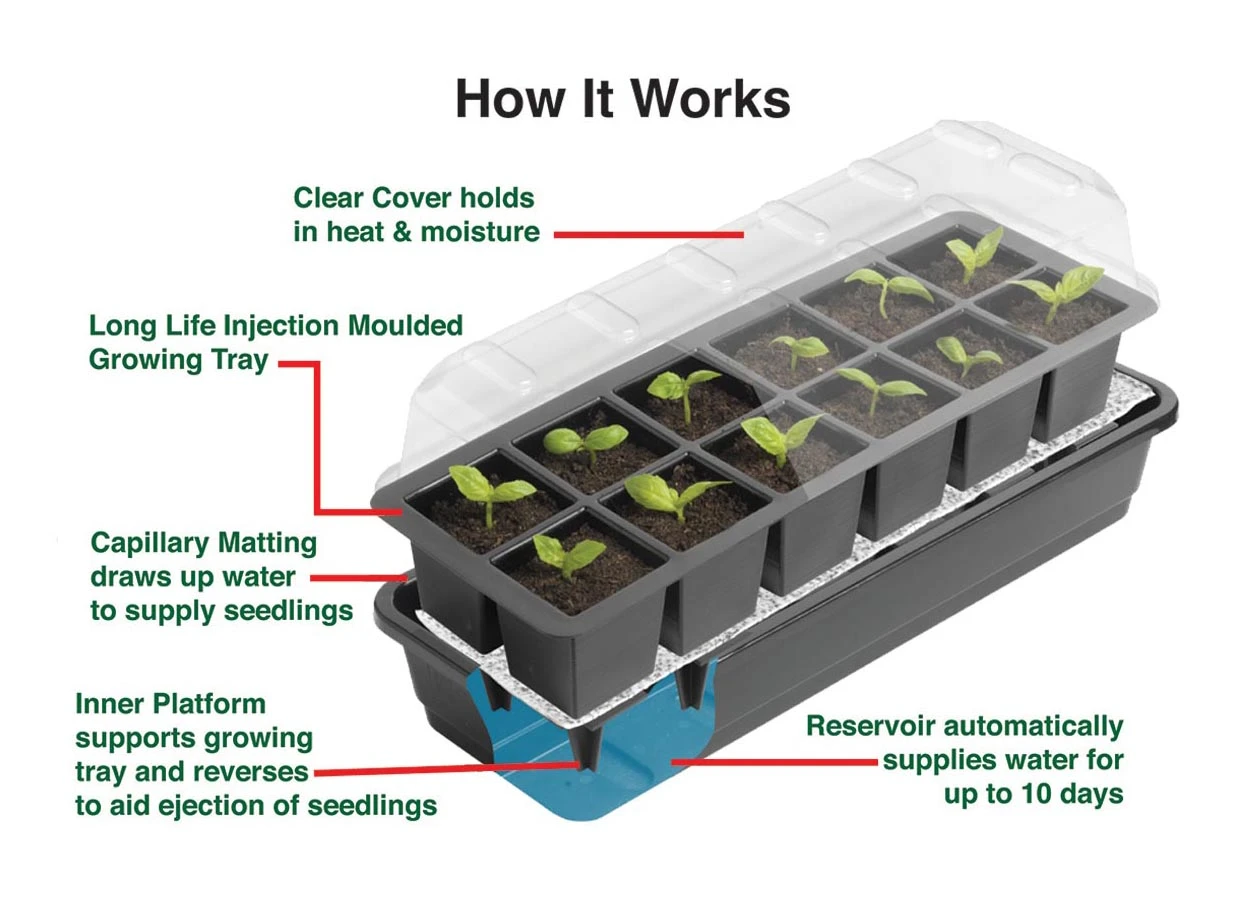 24 Töpfe Selbstbewässerungs -Anzuchtset | Anzuchtschalen Von Garland 5 24 Töpfe Selbstbewässerungs -Anzuchtset | Anzuchtschalen Von Garland – Bild 5