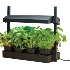 Micro Grow Light Garten | Zimmergewächshaus Von Garland 9 Micro Grow Light Garten | Zimmergewächshaus Von Garland -Baum Freude Verkäufe 558806 50 x 20 x 45 cm Micro Grow Light Garten Schwarz G187BEU gl 0