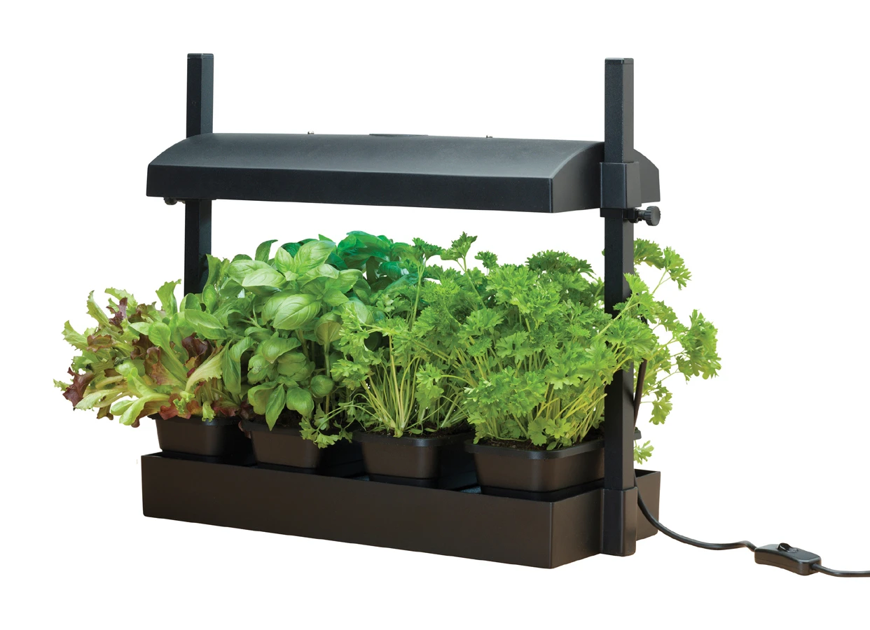 Micro Grow Light Garten | Zimmergewächshaus Von Garland 5 Micro Grow Light Garten | Zimmergewächshaus Von Garland – Bild 5