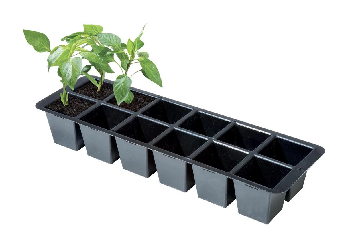 Premium Anzuchtschale (2 Stück) | Anzuchtschalen Von Garland 1 Premium Anzuchtschale (2 Stück) | Anzuchtschalen Von Garland