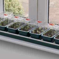 76 X 18,5 X 15 Cm Elektrisches Zimmergewächshaus Super 7 (7 Stück) | Zimmergewächshaus Von Garland -Baum Freude Verkäufe 558835 76 x 18 5 x 15 cm Elektrisches Zimmergewaechshaus Super 7 7 Stueck mit EU Stecker G51EU gl 3