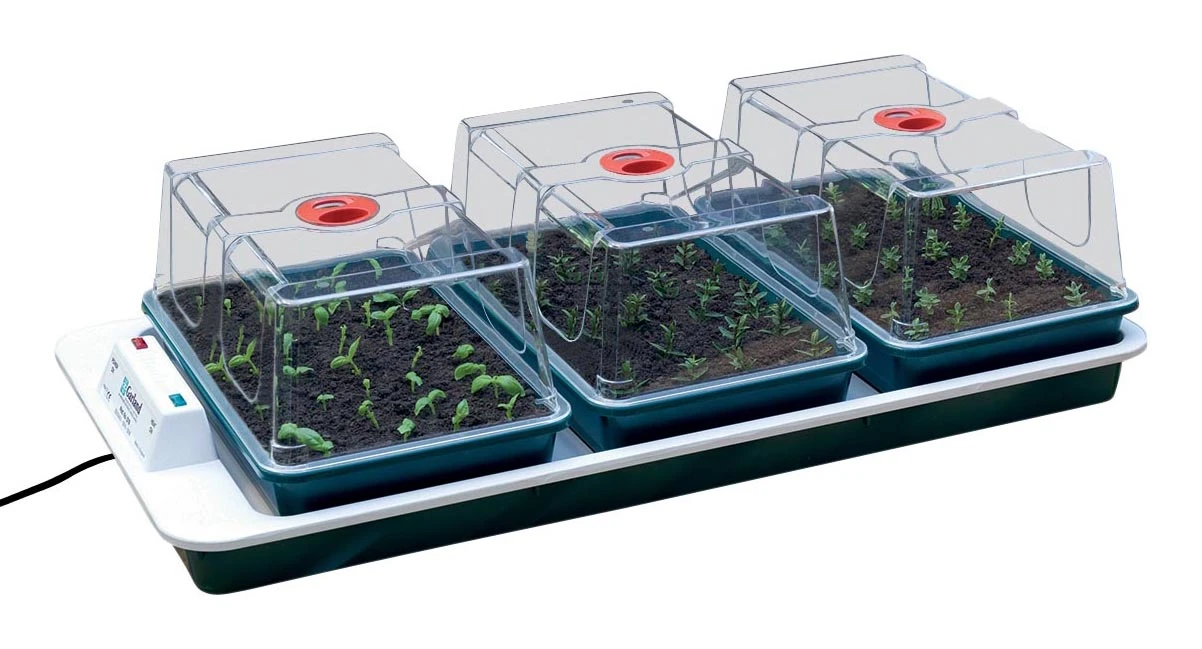 80,5 X 41 X 20 Cm Elektrisches Zimmergewächshaus Big 3 (3 Stück) | Zimmergewächshaus Von Garland 2 80,5 X 41 X 20 Cm Elektrisches Zimmergewächshaus Big 3 (3 Stück) | Zimmergewächshaus Von Garland – Bild 2