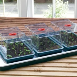 80,5 X 41 X 20 Cm Elektrisches Zimmergewächshaus Big 3 (3 Stück) | Zimmergewächshaus Von Garland 5 80,5 X 41 X 20 Cm Elektrisches Zimmergewächshaus Big 3 (3 Stück) | Zimmergewächshaus Von Garland -Baum Freude Verkäufe 558839 80 5 x 41 x 20 cm Elektrisches Zimmergewaechshaus Big 3 3 Stueck mit EU Stecker G78EU gl 2