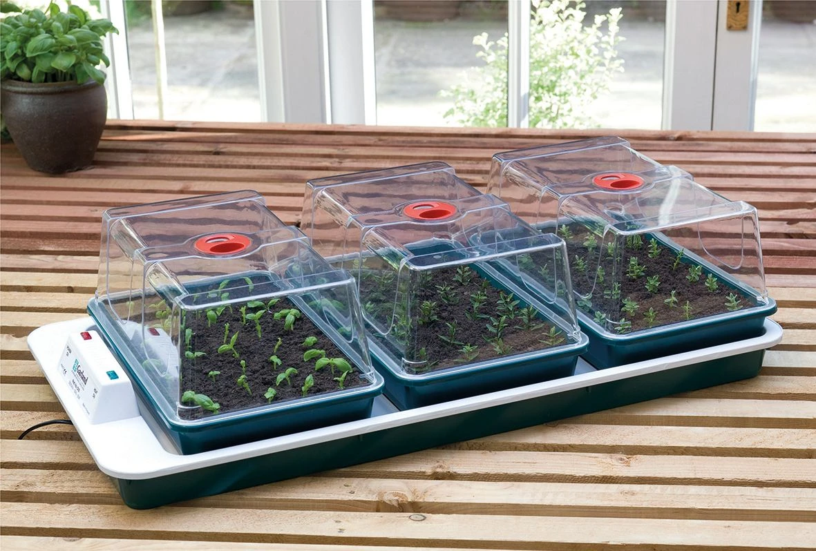 80,5 X 41 X 20 Cm Elektrisches Zimmergewächshaus Big 3 (3 Stück) | Zimmergewächshaus Von Garland 3 80,5 X 41 X 20 Cm Elektrisches Zimmergewächshaus Big 3 (3 Stück) | Zimmergewächshaus Von Garland – Bild 3