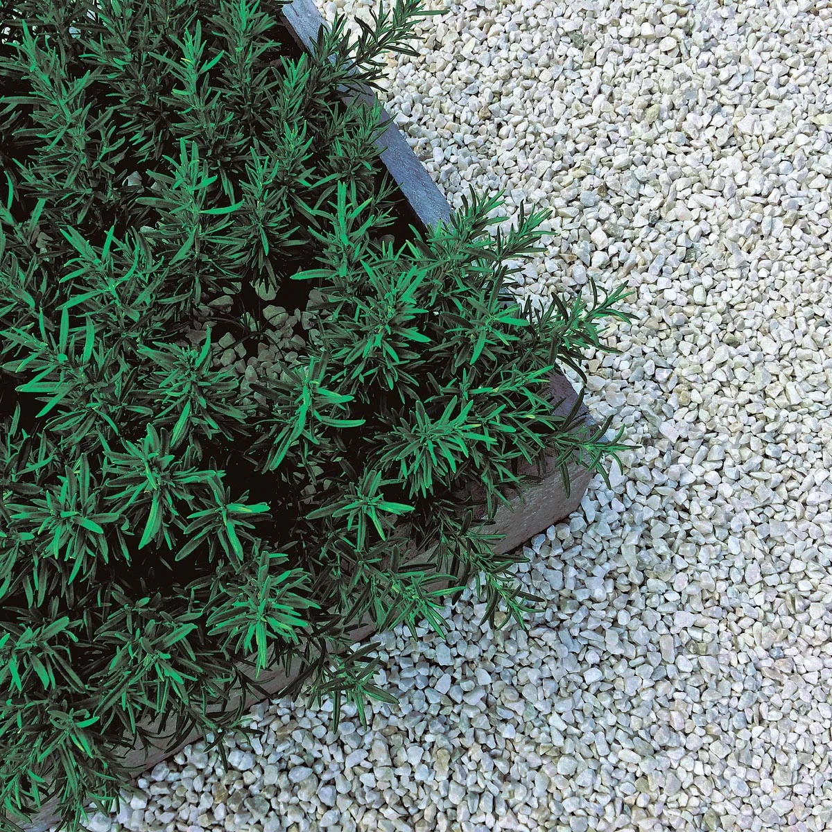 Unkrautstopp Gewebe 1m X 16m (70g/m²) | Unkrautvlies Von Garland 1 Unkrautstopp Gewebe 1m X 16m (70g/m²) | Unkrautvlies Von Garland